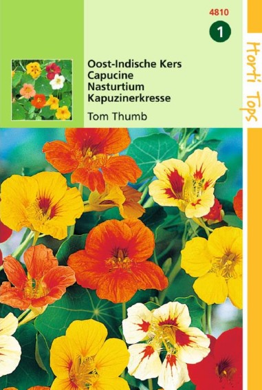 Garden Nasturtium Tom Thumb (Tropaeolum) 24 seeds HT